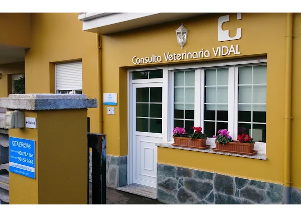 Consulta Veterinaria Vidal (Muros de Nalón)