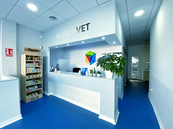 Clínica Veterinaria Llanesvet (Llanes)