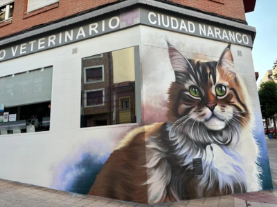 Centro Veterinario Ciudad Naranco (Oviedo)