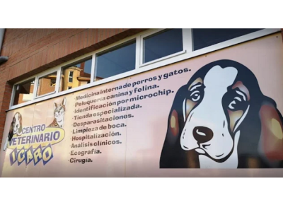 Clínica Veterinaria Ícaro (Oviedo)