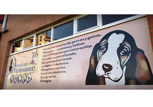 Clínica Veterinaria Ícaro (Oviedo)