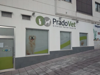 Pradovet (Oviedo)