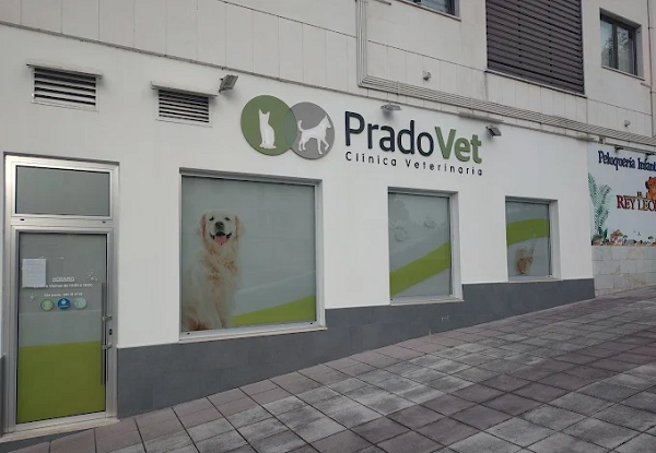 Pradovet (Oviedo)