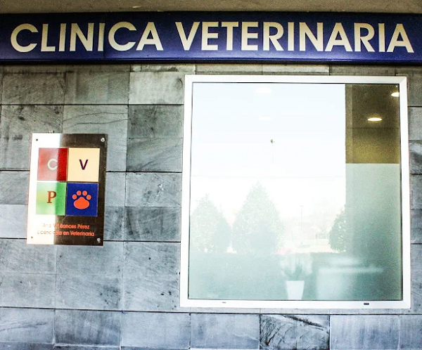 Clínica Veterinaria Principado (Colloto)