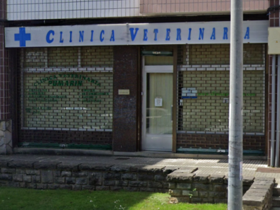 Clínica Veterinaria Pumarin (Gijón)