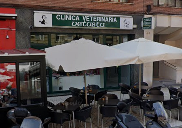Clínica Veterinaria Vetusta (Oviedo)