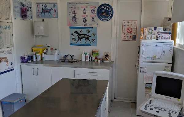 Centro Veterinario Arenas (Arenas de San Pedro)