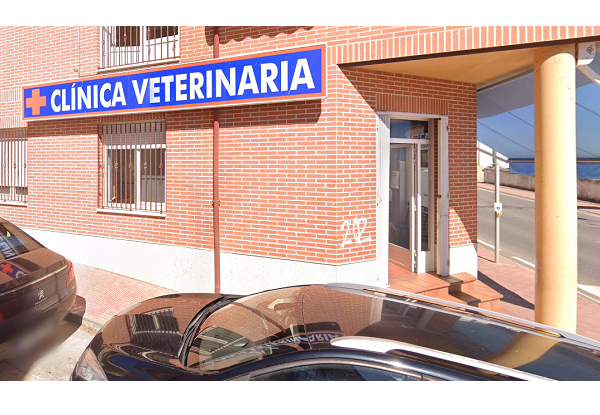 Clínica Veterinaria Candeleda (Candelera)