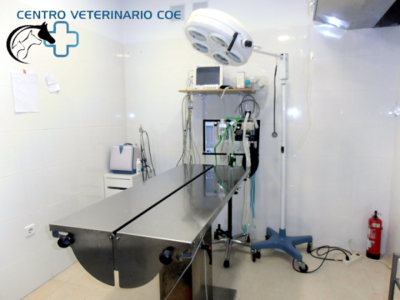 Centro Veterinario COE (Arenas de San Pedro)