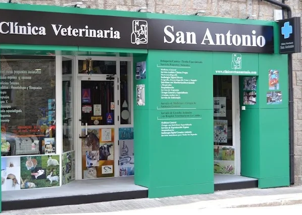 Clínica Veterinaria San Antonio (Ávila)