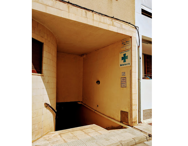 Dr. Gordon Schier-Tierarzt - Colònia de Sant Pere (Artà)