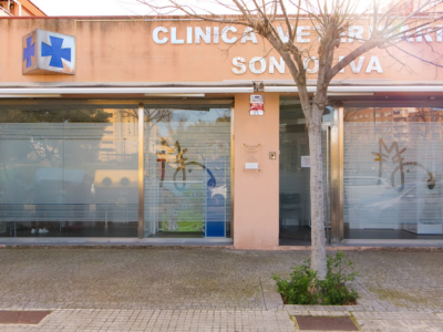 Clínica Veterinaria Son Oliva (Palma)