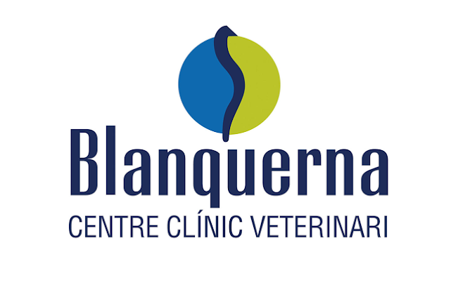 Blanquerna Centre Clínic Veterinari (Palma)