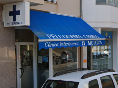 Clinica Veterinaria Moixica (Pollença)