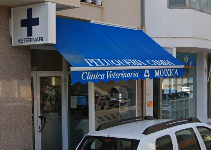 Clinica Veterinaria Moixica (Pollença)