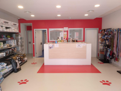 Clínica Veterinaria Arturo Ramos (Sant Antoni de Portmany)