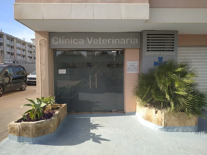 Clínica Veterinaria Santa Ponsa (Calvià)