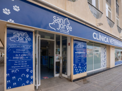 San Jorge Clínica Veterinaria - Sant Jordi de ses Salines (Sant Josep de sa Talaia)