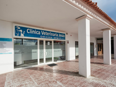 Clínica Veterinaria Jesús (Santa Eulària des Riu)