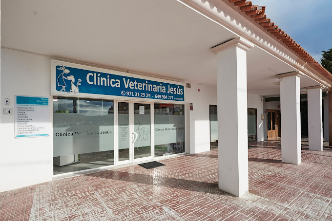 Clínica Veterinaria Jesús (Santa Eulària des Riu)