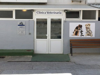 Clínica Veterinaria Kans (Santa Eulària des Riu)