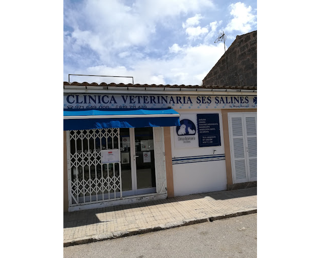 Clínica Veterinaria Ses Salines (Ses Salines)