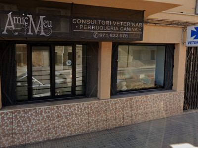 Amic Meu (Consell)