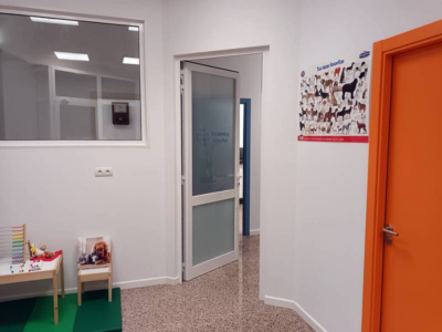 Rubinca clínica / Clin-Vet Algaida (Algaida)