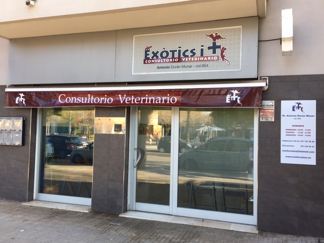 Clínica Veterinaria Exòtics i + (Llucmajor)