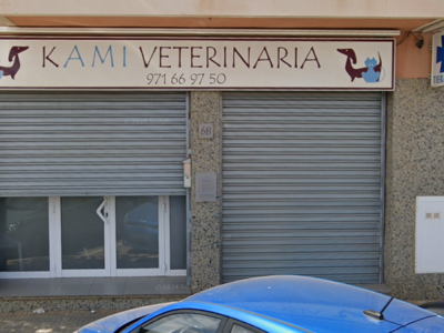 Kami Veterinaria (Llucmajor)