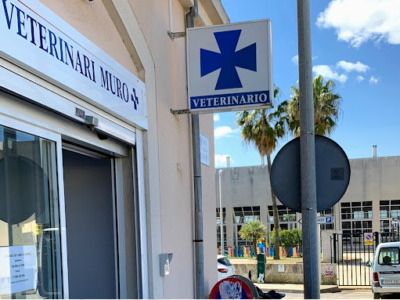 Veterinari Muro (Muro)