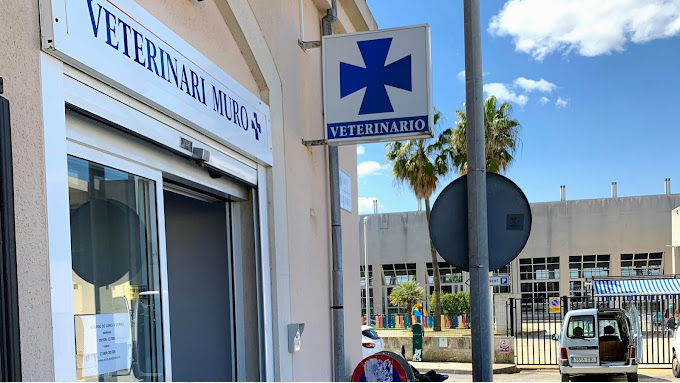Veterinari Muro (Muro)