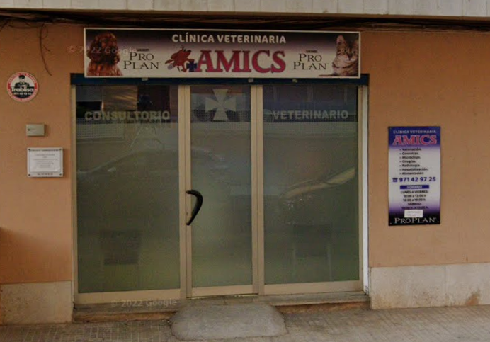 Clinica Veterinaria Amics (Palma)