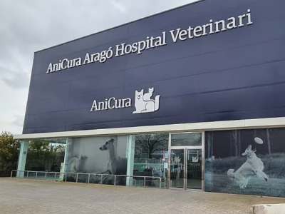 AniCura Aragó Hospital Veterinari (Palma)