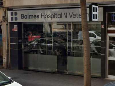 Balmes Hospital Veterinari (Palma)