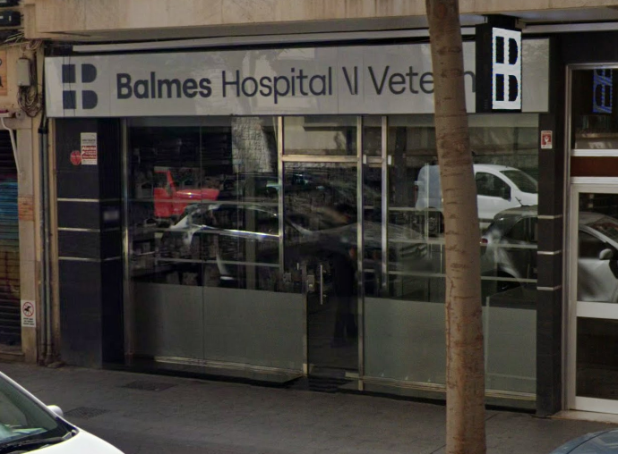 Balmes Hospital Veterinari (Palma)
