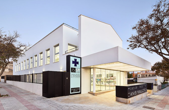 Hospital Veterinari Canis (Palma)