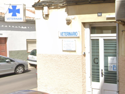 Carmen Lladó Veterinària (Palma)