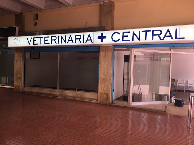 Central Vet Palma (Palma)