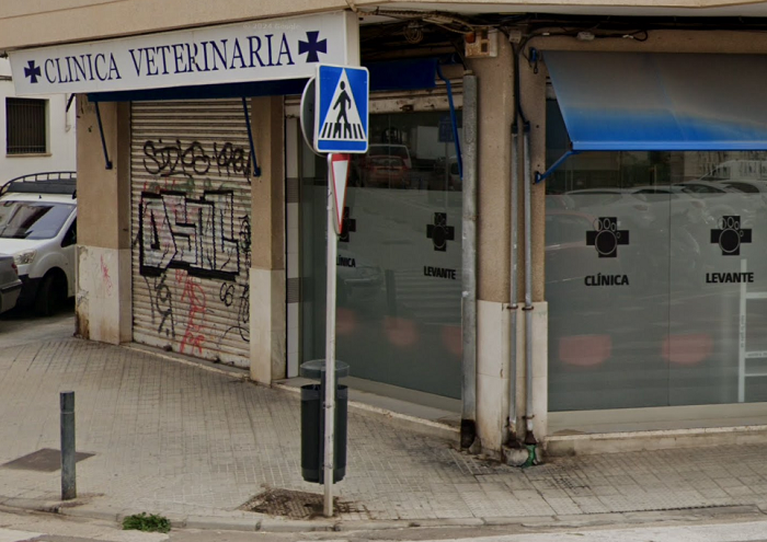 Clínica Levante (Palma)