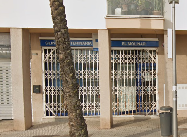 Clínica Veterinaria El Molinar (Palma)