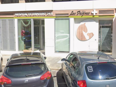 Clínica Veterinaria Briviesca (Burgos)