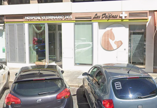 Clínica Veterinaria Briviesca (Burgos)