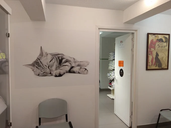 Clínica Veterinaria La Castellana (Burgos)