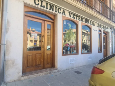 Clínica Veterinaria Lobo-Scott (Aranda de duero)