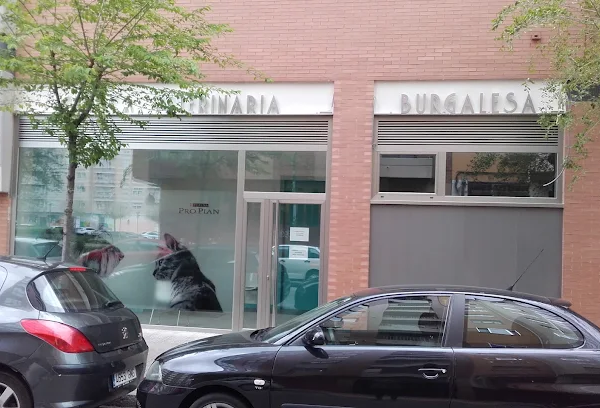 Clínica Veterinaria Burgalesa (Burgos)