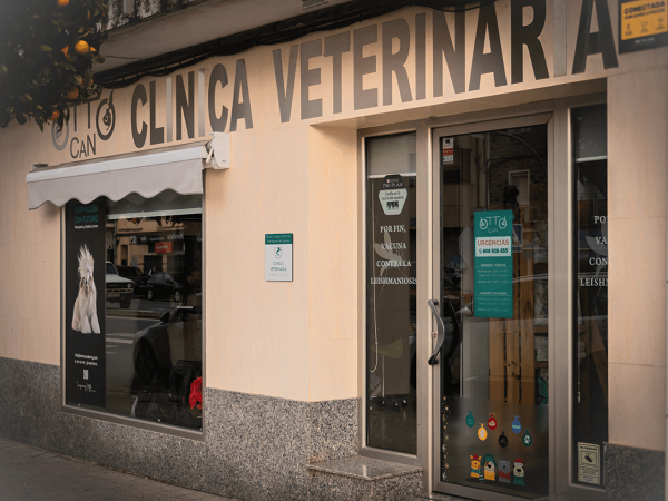 Otto-Can Moraleja (Moraleja)