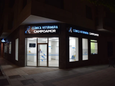 Clínica Veterinaria Campoamor (Navalmoral de la Mata)