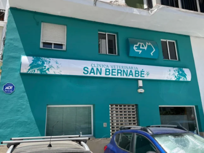Clínica Veterinaria San Bernabé (Algeciras)
