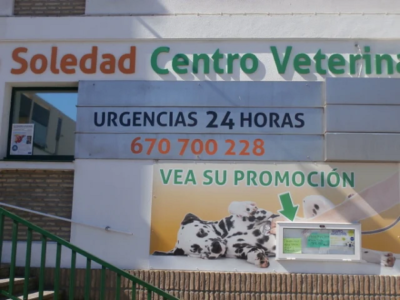 Mascotas (Chiclana de la Frontera)